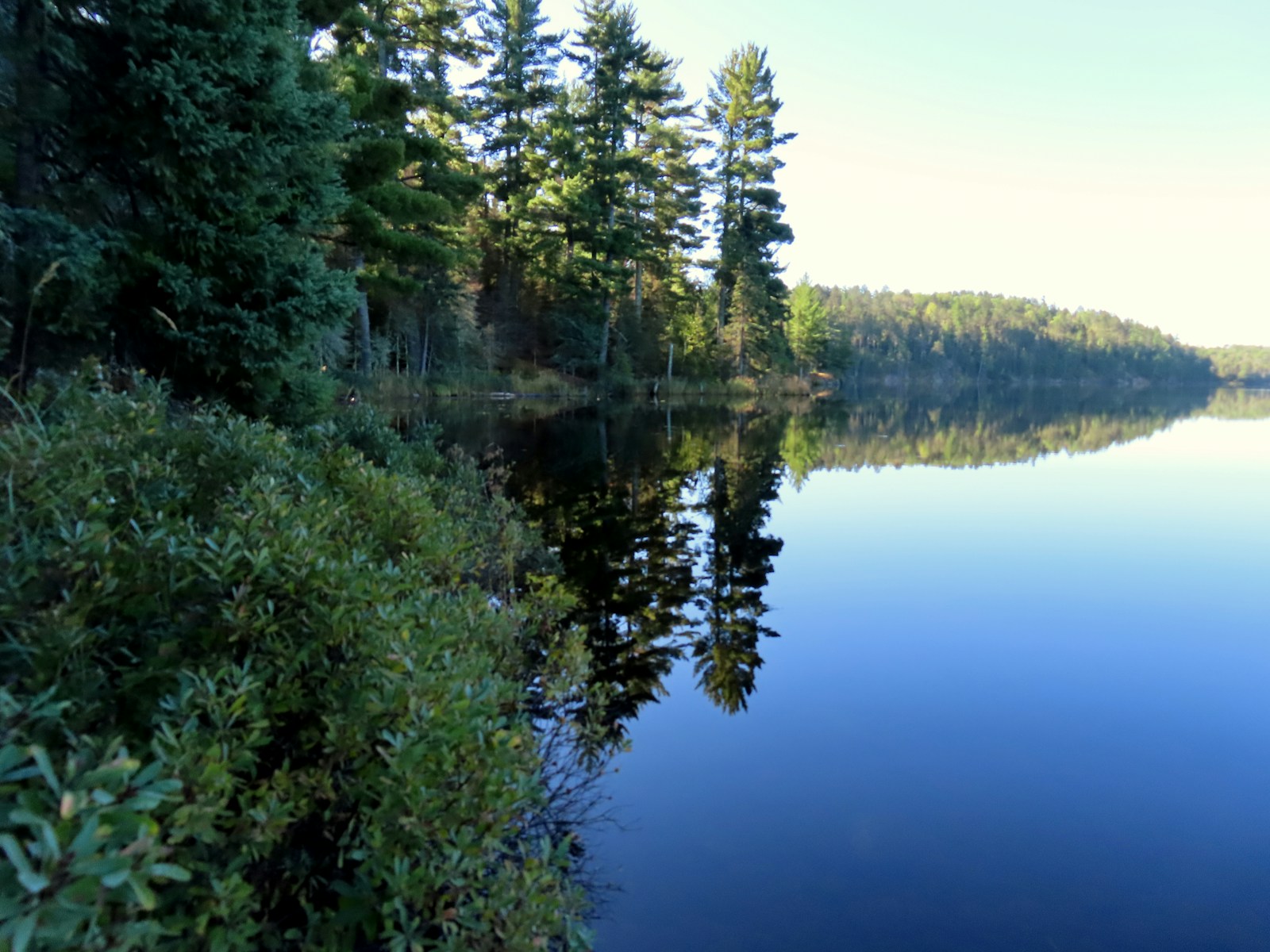 An ordinary wooded shoreline beside a calm lake in the Boundary Waters, Minnesota